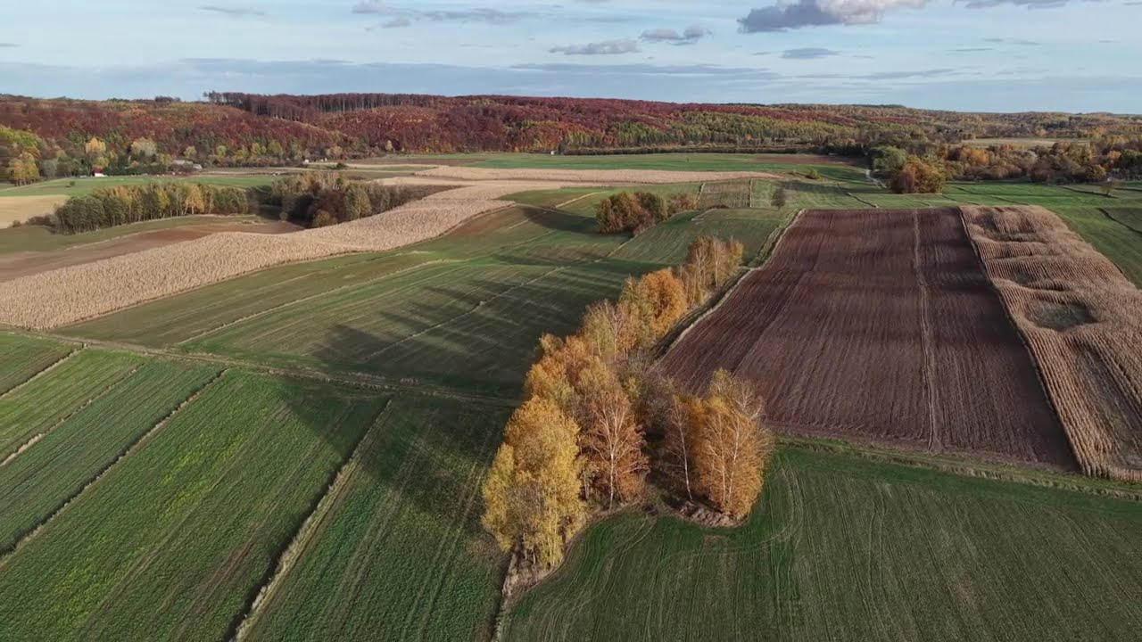 Skierbieszowski Park Krajobrazowy jesienią
