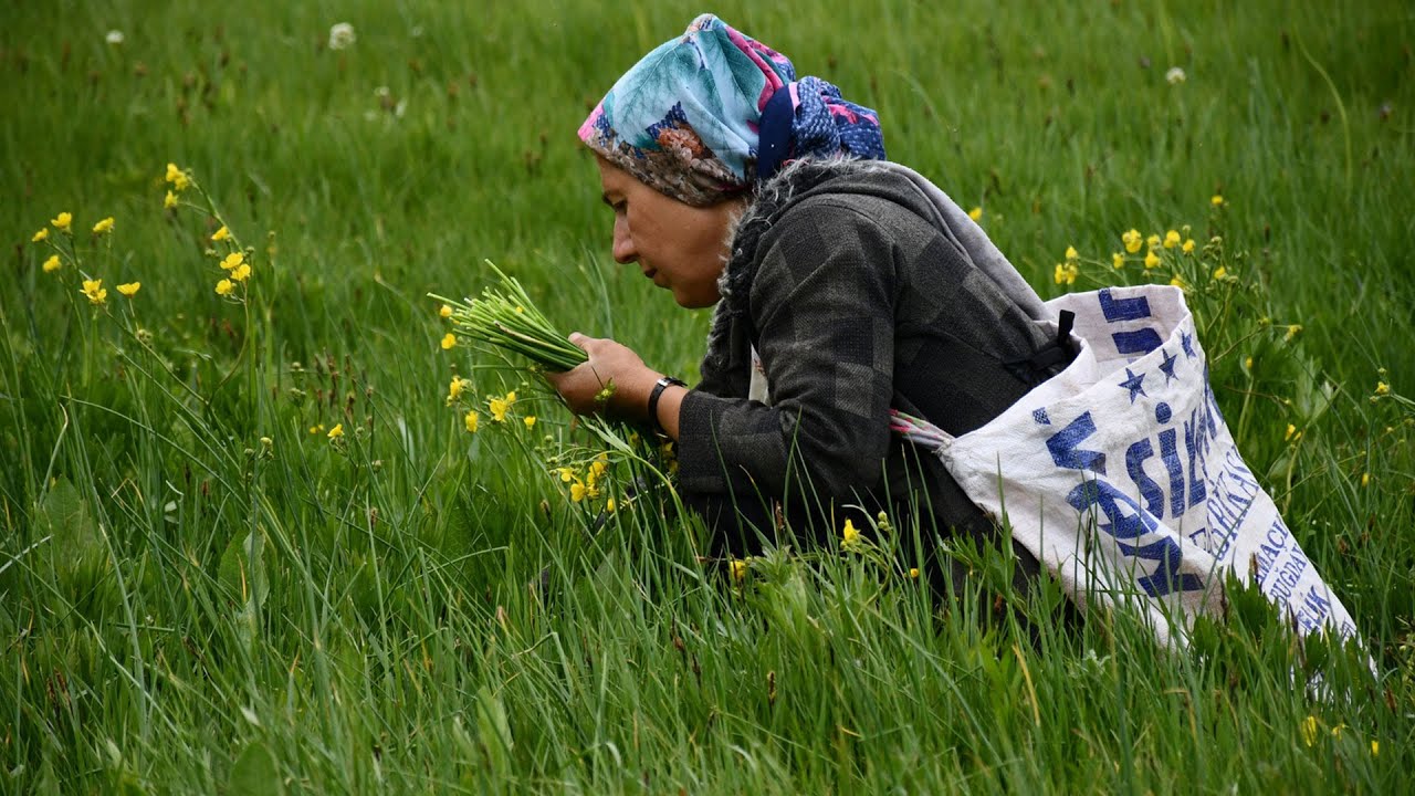 Terörden arındırılan Faraşin Yaylası, bölge halkının geçim kaynağı oldu
