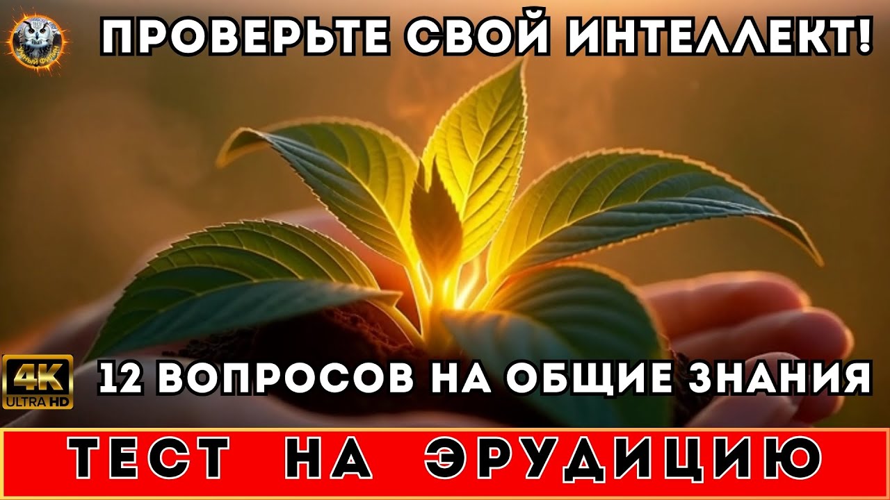 КАЛЕЙДОСКОП ЗНАНИЙ | 12 вопросов на разные темы