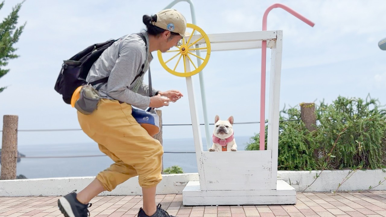 11才のフレンチブルドッグと愉しむ伊豆帰省旅行【犬とお出かけ関東】