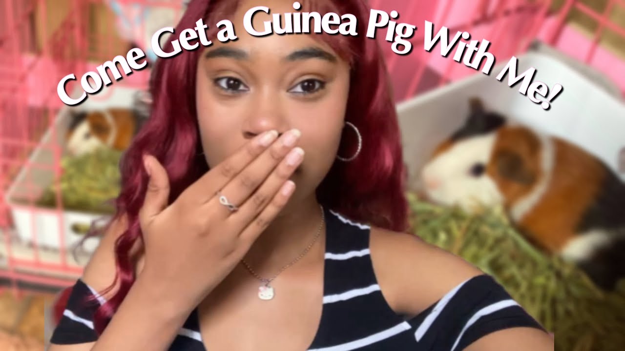 Getting My First Guinea Pig! Prep With Me, Building the Cage, etc. | Vlog