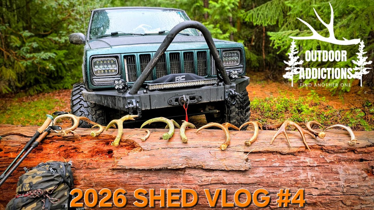 2026 SHED VLOG #4 