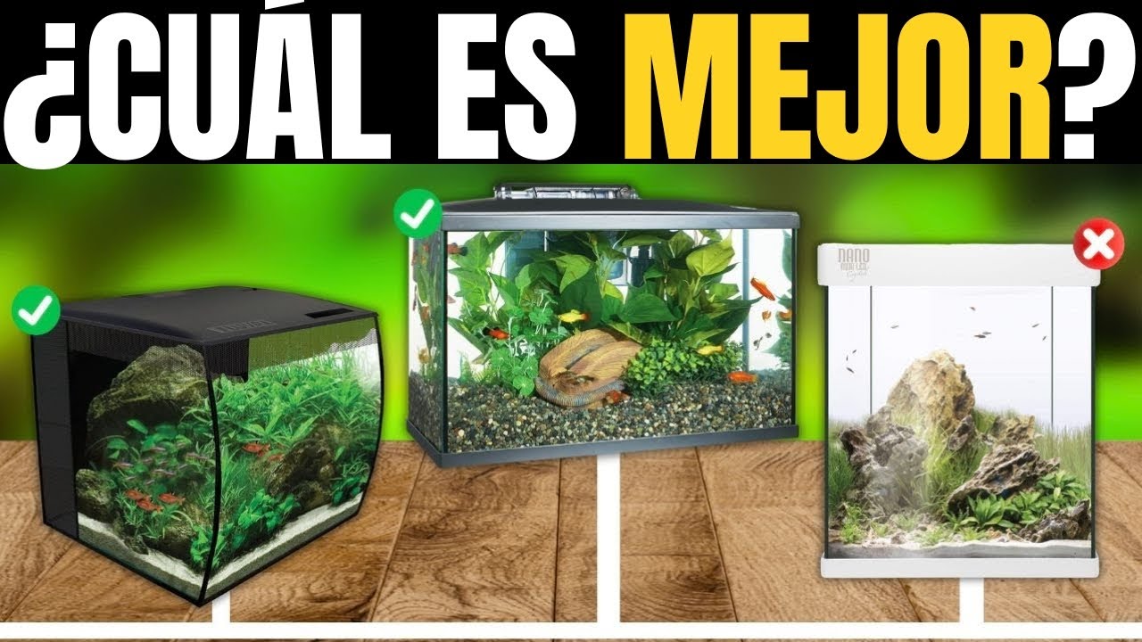 Las Mejores Peceras Calidad-Precio de 2026 [NO COMPRES UNA SIN VER ESTO]