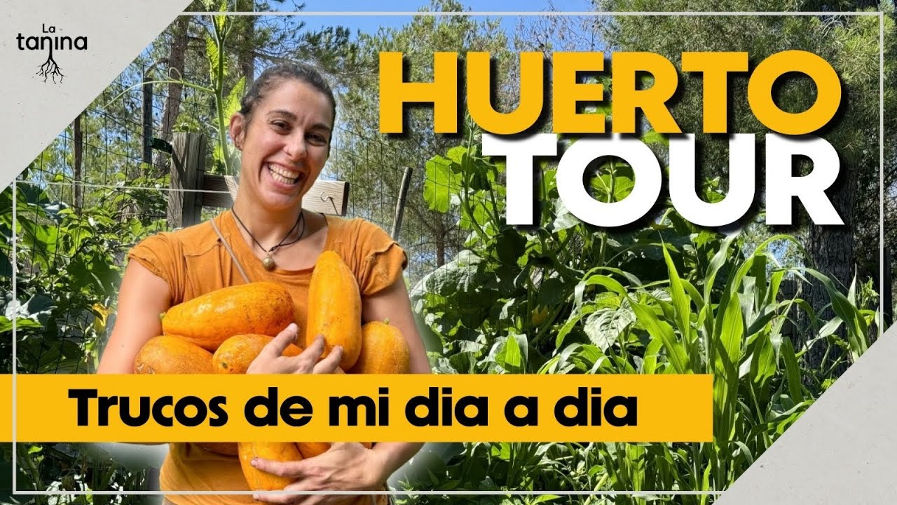 Vivo en un HUERTO: trucos de mi dia a dia cultivando.