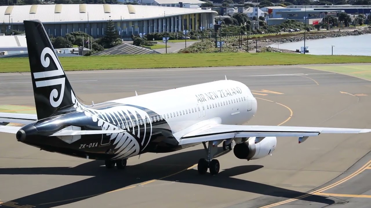 [10 Minutes] SUNNY AFTERNOON | Wellington Airport Planespotting