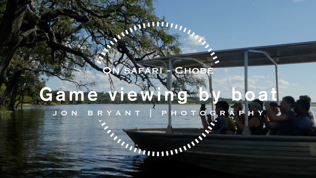 Wildlife photography on safari in Chobe - Part 2