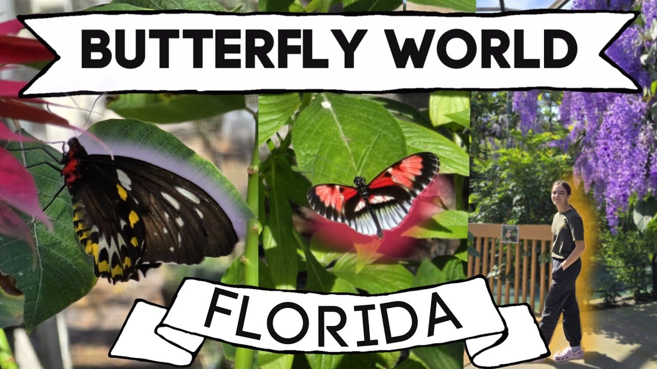 Butterfly World Florida // Исследуйте вместе с нами!
