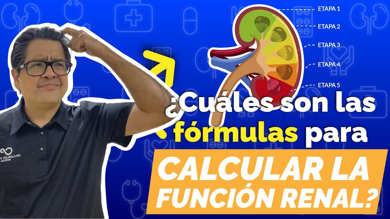 ¿Cuáles son las fórmulas para calcular la función renal?