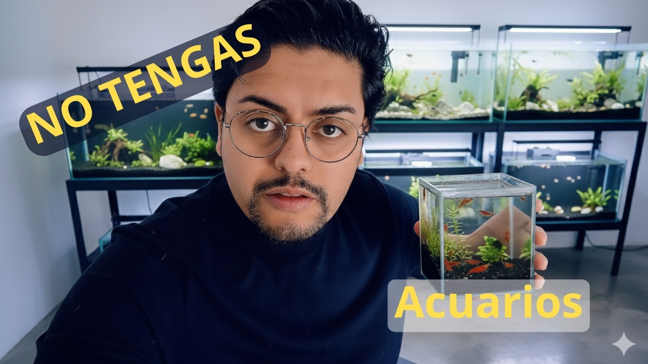 Así Construí Mi Fishroom en Casa (No Fue Tan Fácil)