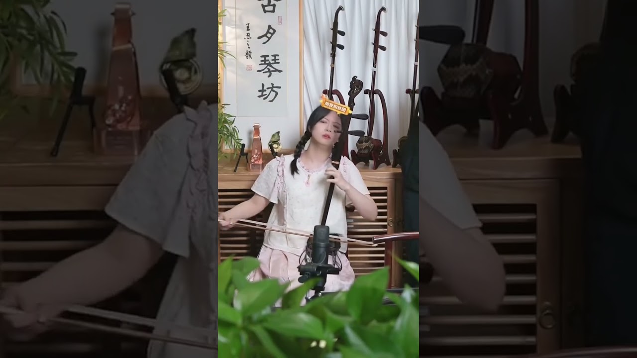 力哥独奏《从未走远》