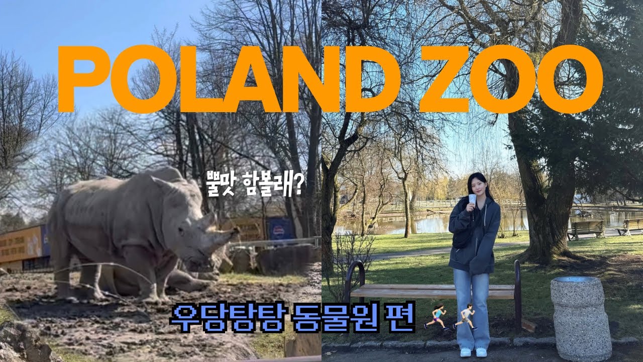 간호사 퇴사후 유럽살기🌳| 폴란드 적응기 7탄🇵🇱 | 우당탕탕 동물원 편🐘