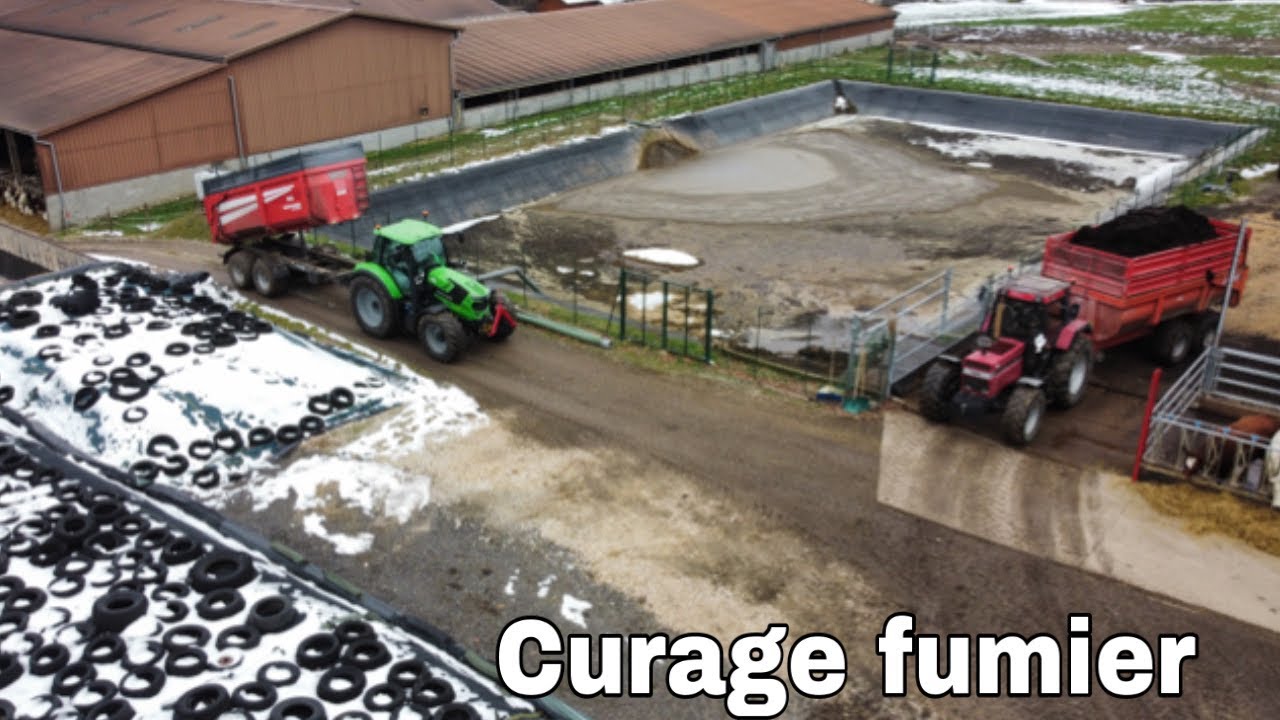 Curage du bâtiment des bœufs/case ih 1455xl deutz fahr 6175ttv 🇫🇷🇫🇷