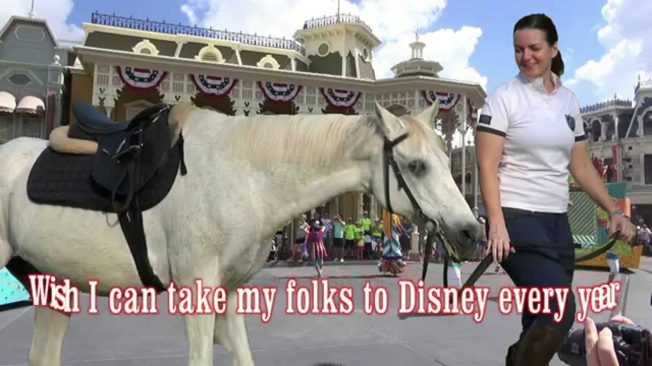 Alfred the horse travels the world! #WhereIsAlfred