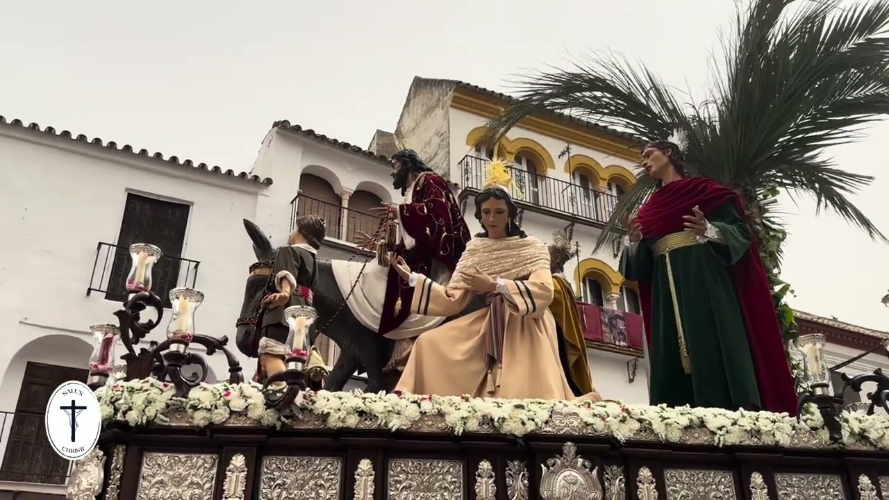 DOMINGO DE RAMOS 2024. La Borriquita. Écija, 24 de marzo de 2024