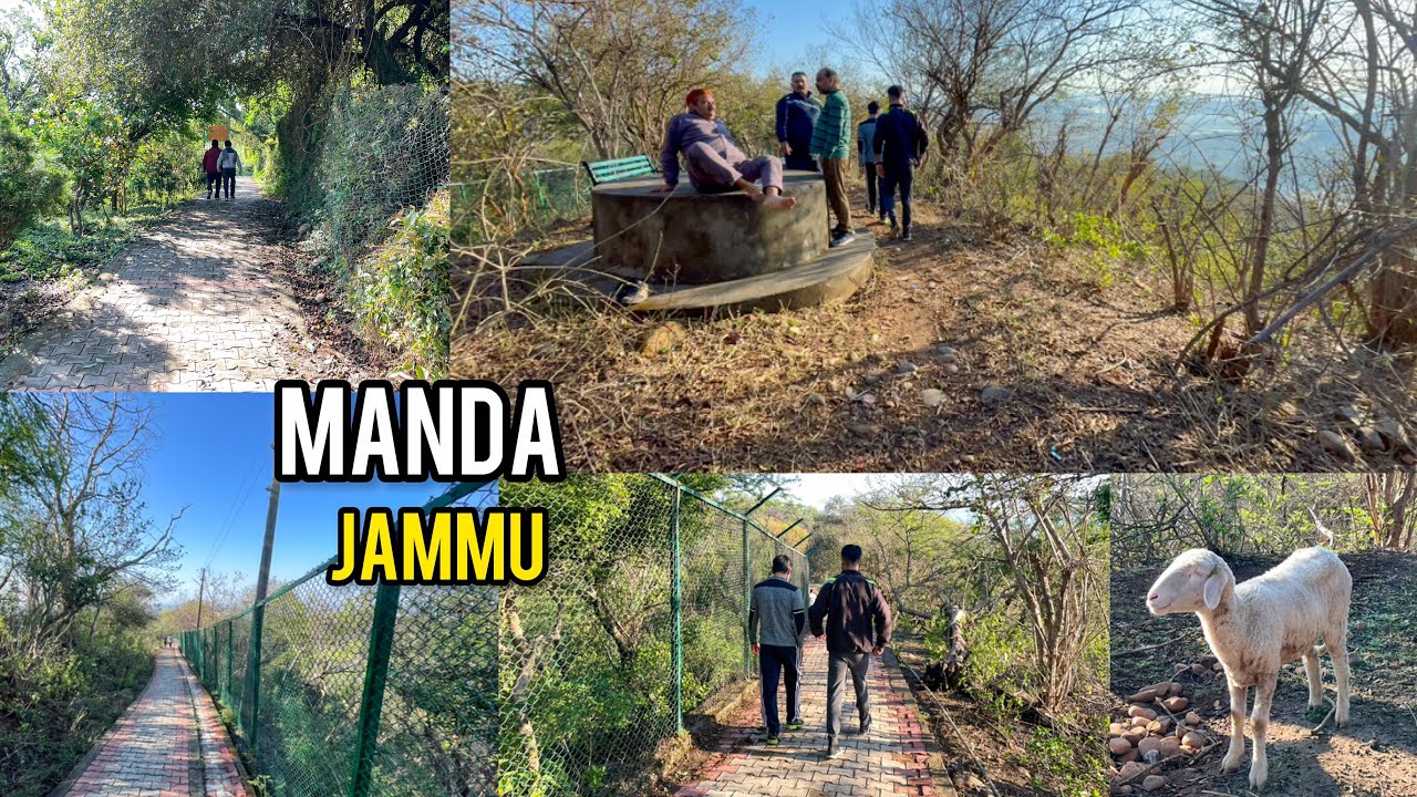 Amazing Manda Deer Park Near Manda Zoo | Jammu | DSBOSSKO VLOGS