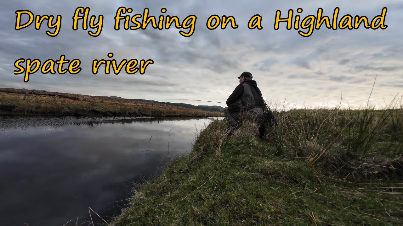 Dry fly fishing for wild brown trout on a highland spate river | April 2025