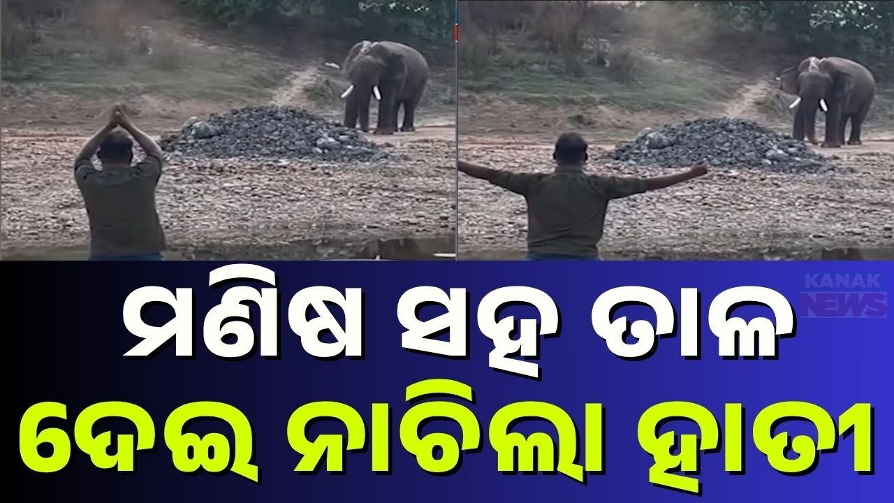 Heart-Melting Scene! Elephant Joins Man&rsquo;s Dance, Video Goes Viral