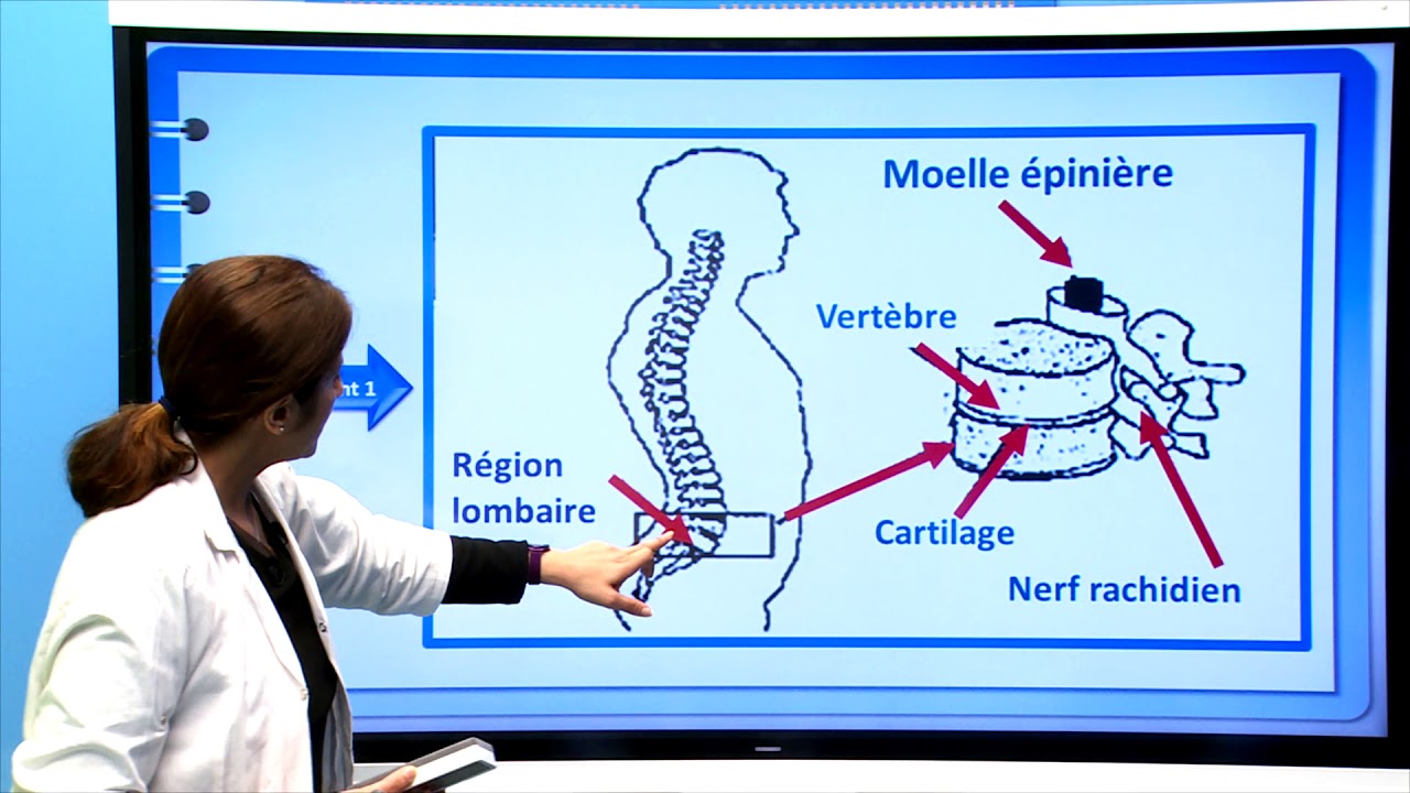 Examen régional Casa. Settat session 2018/ Raisonnement scientifique