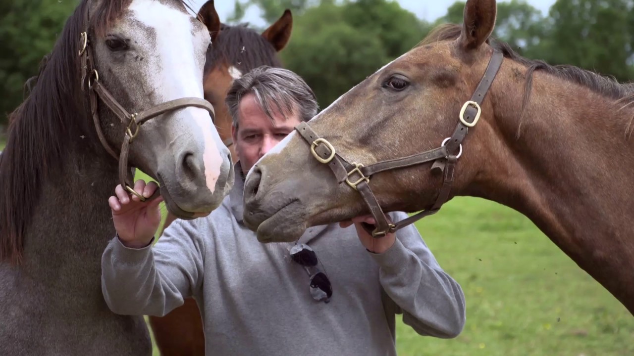 Yannick FOUIN présente le Haras des Hautières