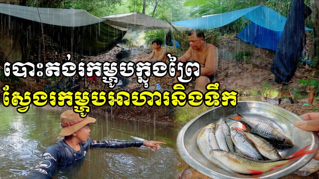 Camping in the Rain and cooking.Camping adventure in search of food in the forest 