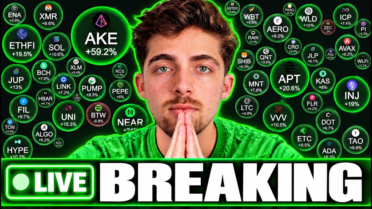 THESE ALTCOINS WILL RALLY HARD! BIG NEWS FROM SEC!