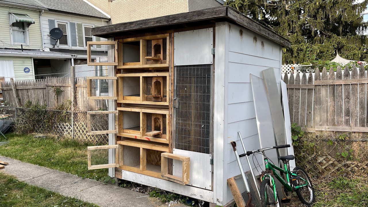 Coop redesigned with kit boxes