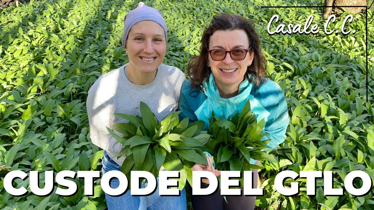 IL GRAN TOUR DEL LAGO D'ORTA (GTLO)- TAPPA DEGLI ARTIGIANI.Divento CUSTODE di 7 km di sentiero.