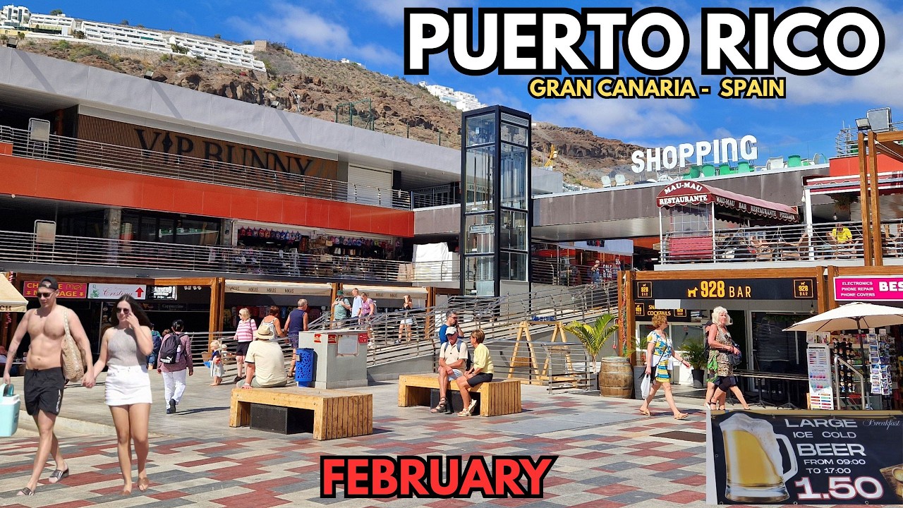 February in Puerto Rico | Does This Look Like Winter? 🌴Gran Canaria 