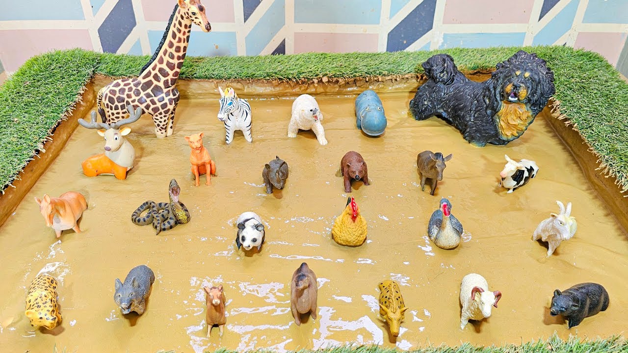 Little Explorers: How Forest Animals and Safari Animals Survive and Thrive!