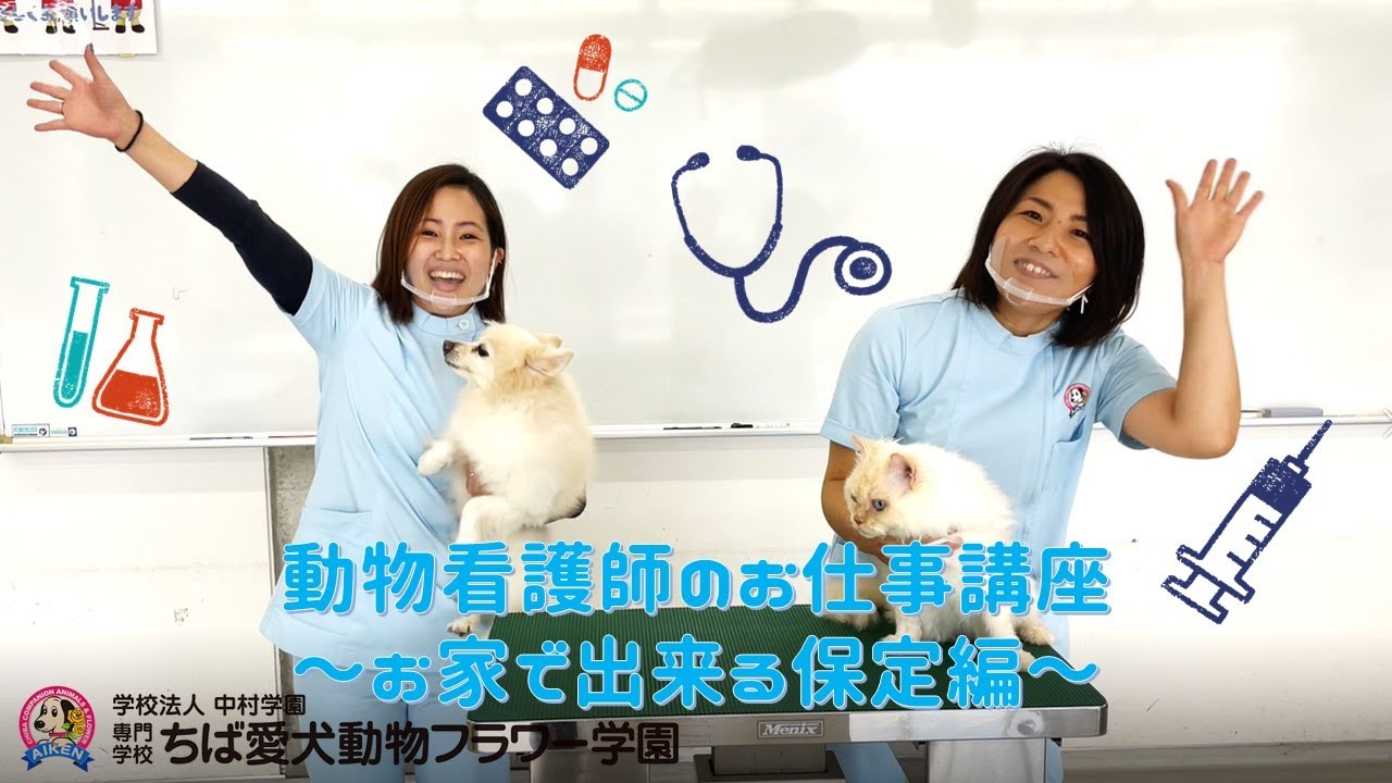 【ちば愛犬プチ講座】お家で出来る保定編！