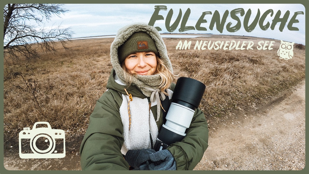 Finden wir hier überhaupt Eulen...?