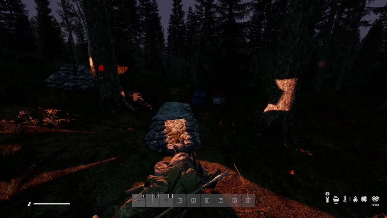 DayZ Survival !