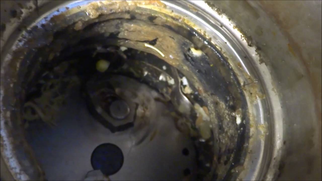garbage disposal making load noise