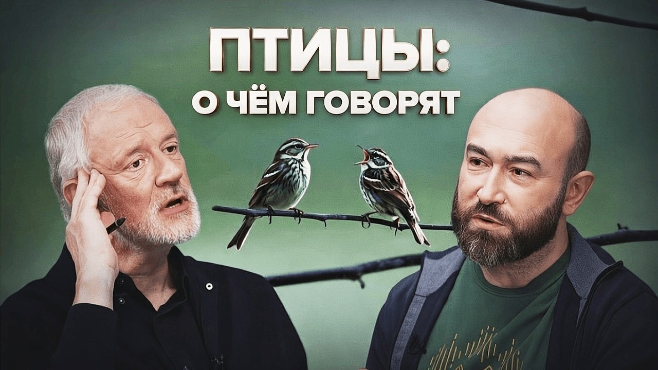 О чём поют птицы и как они понимают друг друга? — Семихатов, Квартальнов