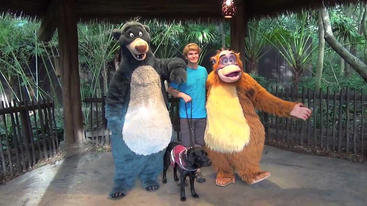 Baloo and King Louie dance to Tommy's Million YouTube views song