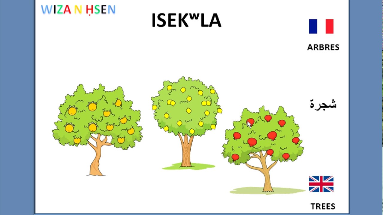 ISEKLA. LES ARBRES. APPRENDRE LE KABYLE POUR LES ENFANTS