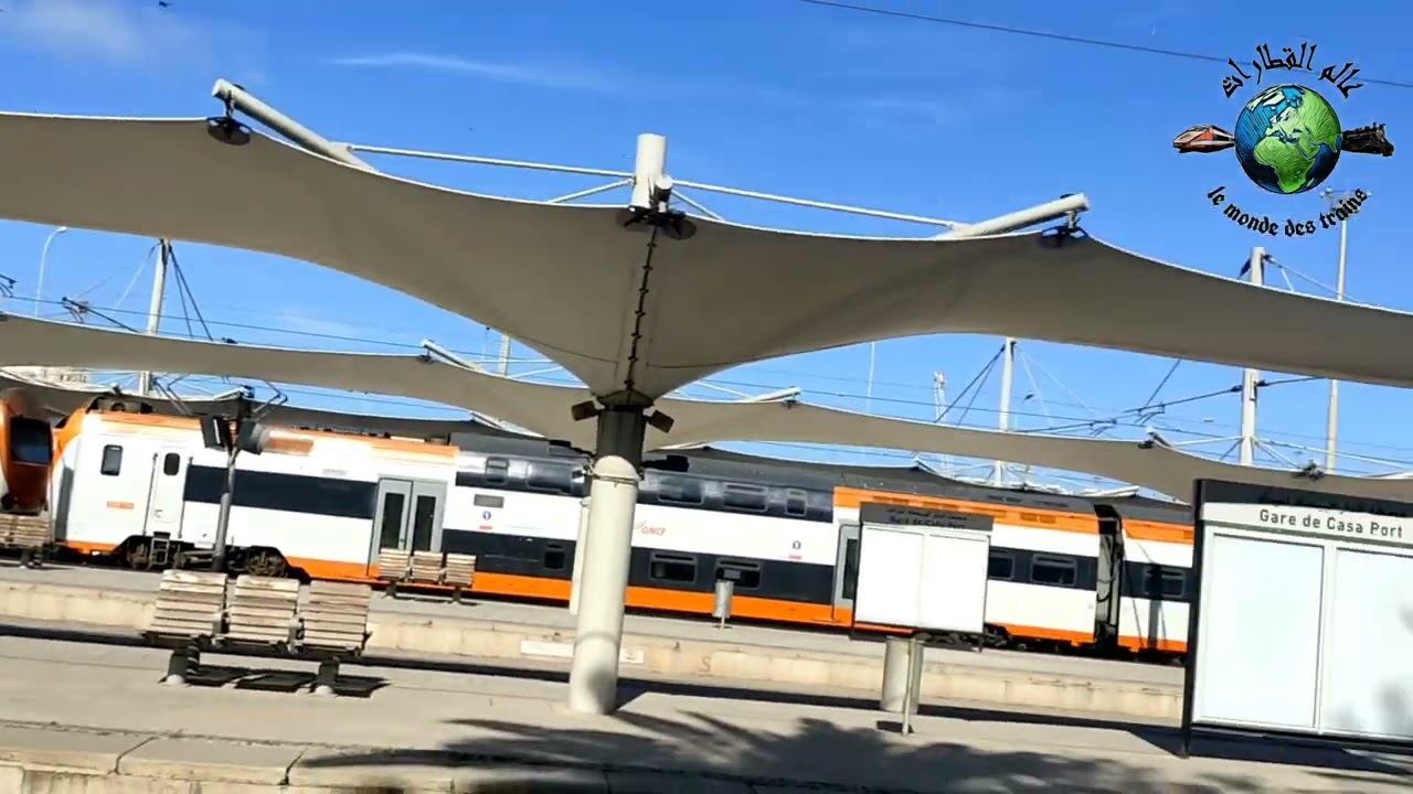 Z2M en casa port