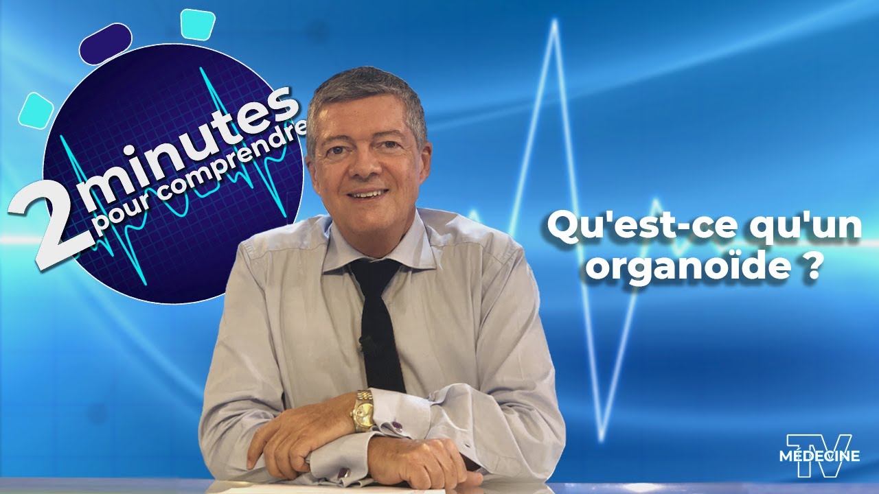 Qu'est-ce qu'un organoïde ? - 2 minutes pour comprendre