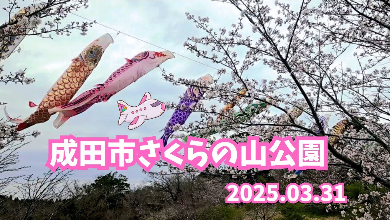 飛行機の見える成田さくらの山公園。2025.03.31