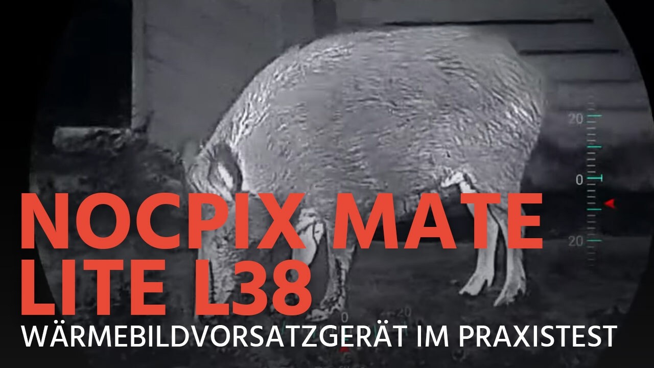 NOCPIX MATE Lite L38 Wärmebildvorsatzgerät, kompakt und leicht aber auch leistungsstark? Der Test!