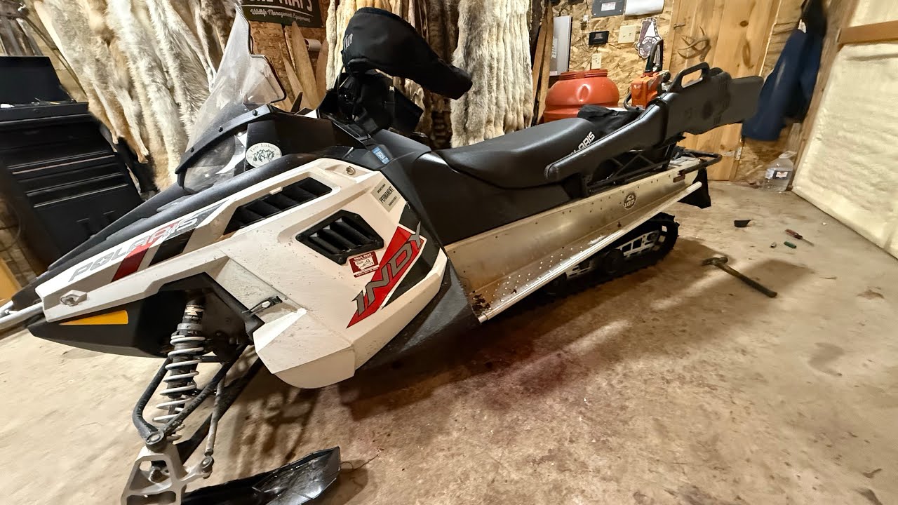 I got a new ride today! #wolf #montanawolftrapper