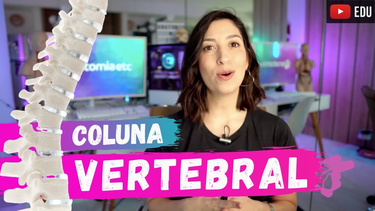 COLUNA VERTEBRAL - Anatomia
