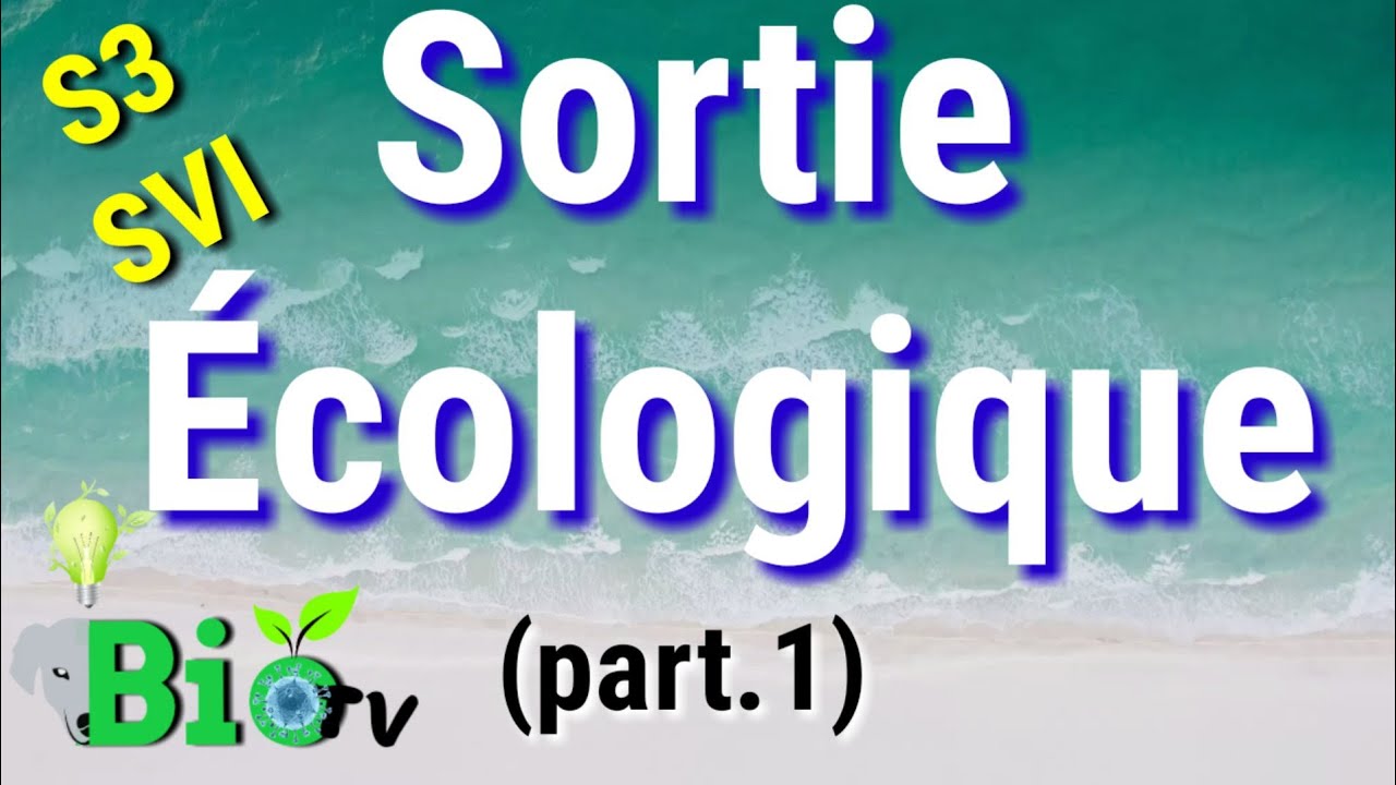 Sortie &eacute;cologique s3 - rappel - &eacute;cosyst&egrave;me aquatique
