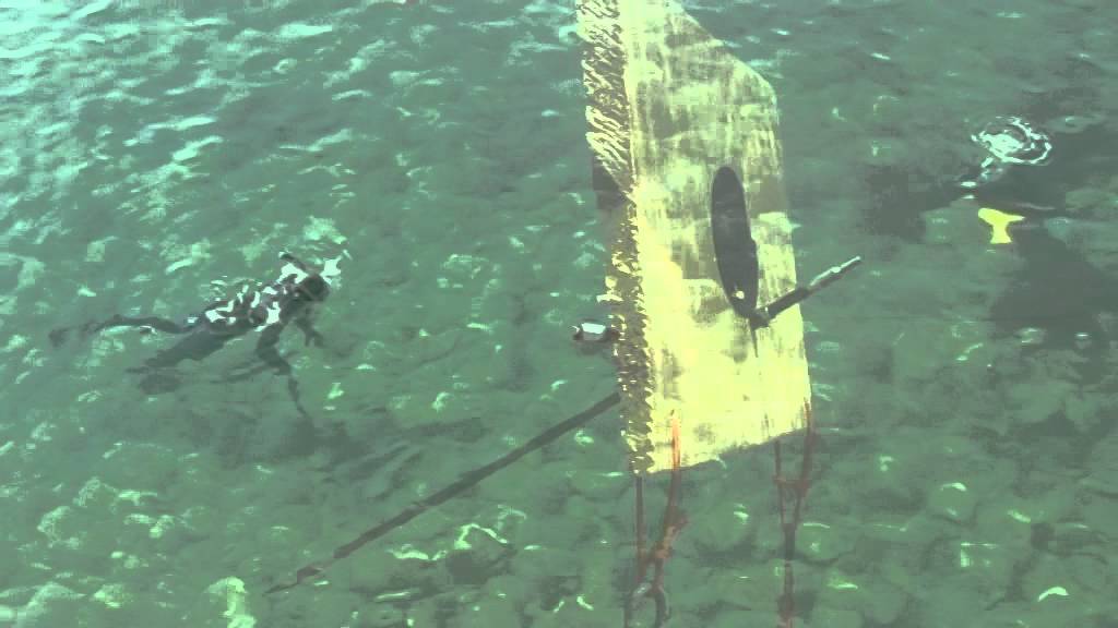 Подводная охота на Черном море. Учебный фильм.
