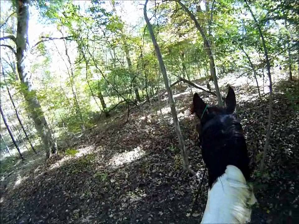RFHH Beth Pisto Memorial Hunter Pace - Crosswind Farm