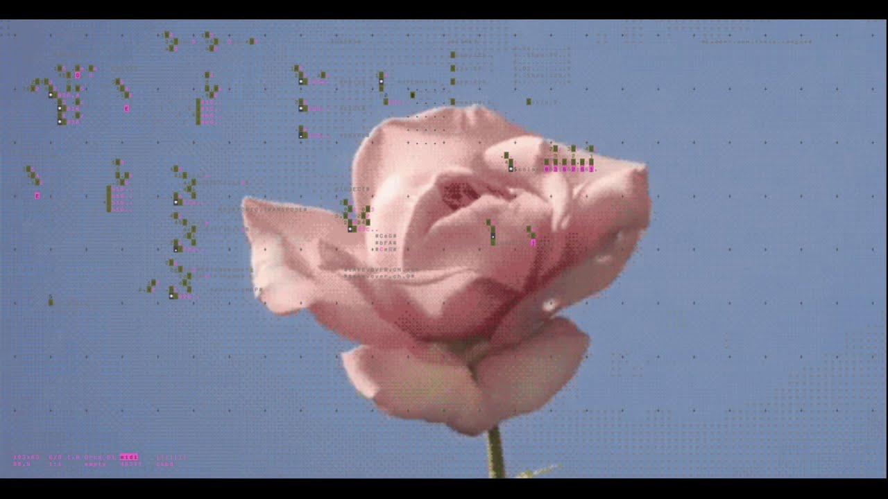ORCA Live Coding Full Performance: 