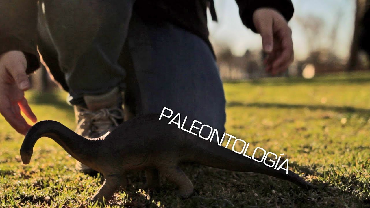 JÓVENES INVESTIGADORES: 1.PALEONTOLOGÍA