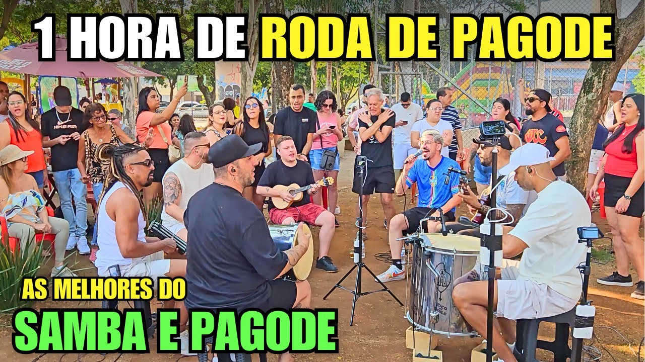 1 HORA DE RODA DE PAGODE - SÓ AS MELHORES