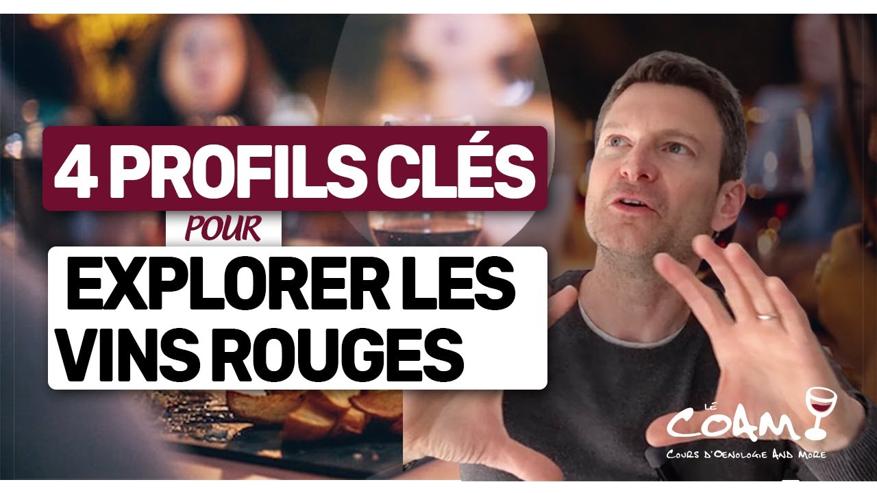 4 profils clés pour S'Y RETROUVER dans les VINS ROUGES