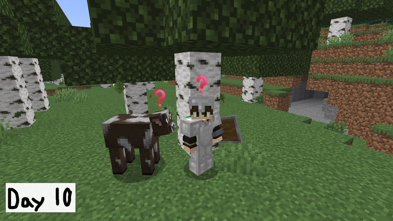 We Solved the Mystery | One Minecraft Day at a Time – Day 10